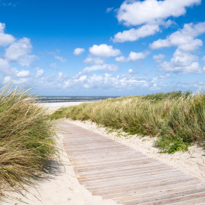 Wunschbild als Poster - Der Weg Zum Strand oder mit Eigenem Foto