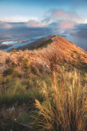 Wunschbild als Posterdruck - Neuseeland Roy S Peak Im Morgenlicht o...