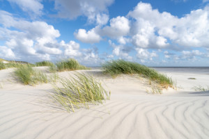 Fotos Poster - Am Dünenstrand Im Sommer oder mit Eigenem Foto
