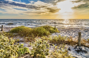 Wunschbild Poster - Goldene Stunde Am Ostseestrand oder mit Eigenem...