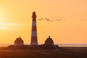 Bild auf Posterdruck - Vogelzug Am Leuchtturm Westerhever oder mit ...