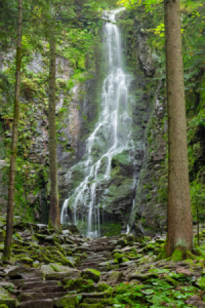Wunschbild Poster - Burgbachwasserfall - Schwarzwald oder mit Eigen...