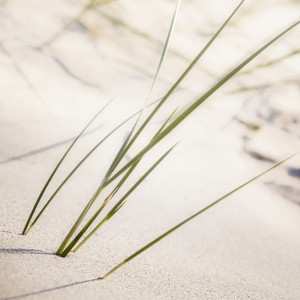 Foto auf Schieferplatte - Nordsee Strand 3 oder mit Eigenem Foto