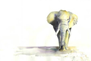 Motiv Schieferplatte - Elefant oder mit Eigenem Foto