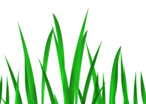 Wunschmotiv Schieferplatte - Green Impression - Panorama oder mit E...