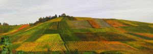 Wunschmotiv auf Schieferplatte - Weinberg Panorama oder mit Eigenem...