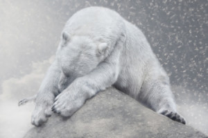 Wunschmotiv als Schieferplatte - Not Dreaming Of White Christmas od...