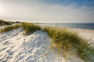 Motiv als Schieferplatte - Sylt Düne oder mit Eigenem Foto