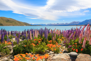 Wunschmotiv Schieferplatte - Lake Tekapo oder mit Eigenem Foto