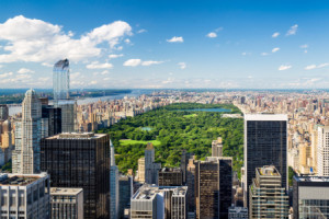 Wunschbild auf Schieferplatte - Central Park In New York City Usa o...