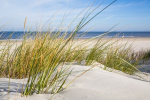 Motiv auf Schieferplatte - Dünen Strand Und Meer oder mit Eigenem F...