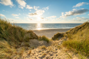 Wunschmotiv auf Schieferplatte - Sonnenuntergang Am Dünenstrand ode...