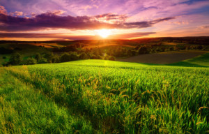 Bilder Schieferplatte - Farbenfroher Sonnenuntergang Auf Grünem Fel...