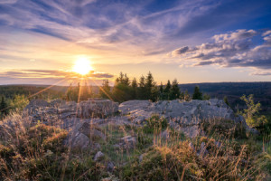 Motiv als Schieferplatte - Nationalpark Harz oder mit Eigenem Foto