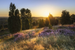 Wunschmotiv Schieferplatte - Sonnenaufgang Am Wilseder Berg oder mi...