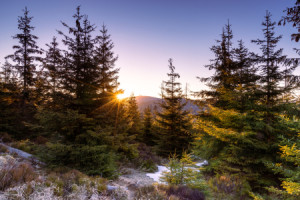 Wunschmotiv Schieferplatte - Guten Morgen Harz oder mit Eigenem Foto
