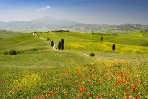 Bild Schieferplatte - Val D Orcia oder mit Eigenem Foto