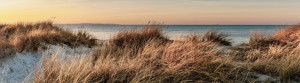 Foto auf Schieferplatte - Stranddünen Und Meer oder mit Eigenem Foto