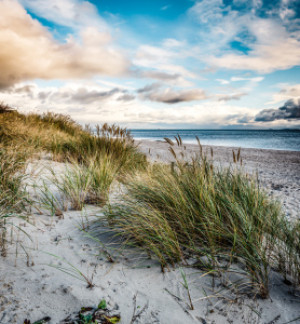 Motiv Schieferplatte - Am Dünenstrand oder mit Eigenem Foto