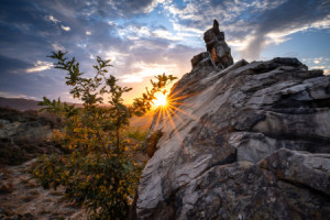 Foto Schieferplatte - Die Teufelsmauer Bei Weddersleben oder mit Ei...