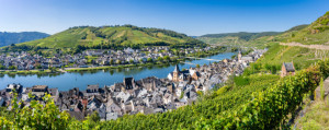 Wunschbild auf Schieferplatte - Zell-Mosel -4- oder mit Eigenem Foto