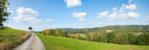 Wunschbild Schieferplatte - Spazierweg Im Bayerischen Wald oder mit...