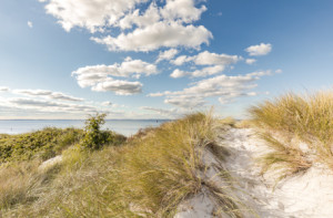 Motiv auf Schieferplatte - Ostsee Weißdüne oder mit Eigenem Foto
