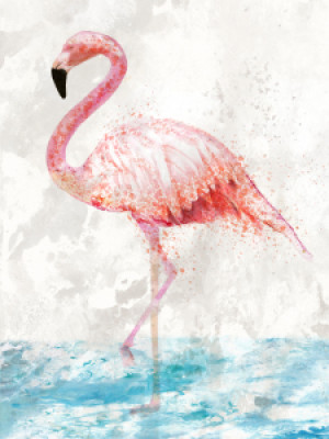 Wunschbild auf Tapete - Flamingo Splash oder mit Eigenem Foto