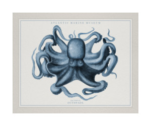 Foto auf Tapete - Atlantic Marine Museum Octopus Ii oder mit Eigene...