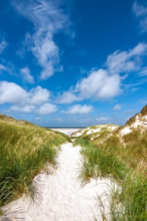 Wunschmotiv Tapete - Nordsee - Idyllischer Strandweg Auf Amrum oder...