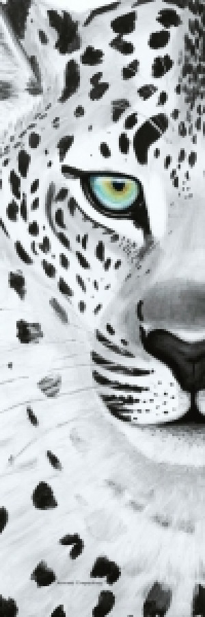Wunschbild auf Tapete - Leopard Sw oder mit Eigenem Foto