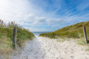 Wunschbild auf Tapete - Auf Dem Weg Zum Meer oder mit Eigenem Foto