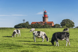 Wunschmotiv als Tapete - Leuchtturm Von Bastorf oder mit Eigenem Foto