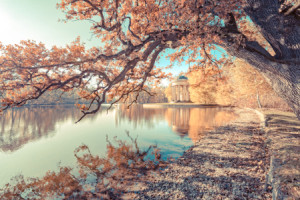 Wunschmotiv Tapete - München Im Herbst oder mit Eigenem Foto