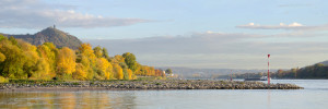Bild auf Tapete - Rheinpanorama oder mit Eigenem Foto