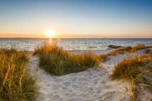 Wunschmotiv Tapete - Goldene Ostsee Dünen oder mit Eigenem Foto