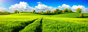 Foto Tapete - Panorama Mit Weiten Wiesen Und Blauem Himmel oder mit...