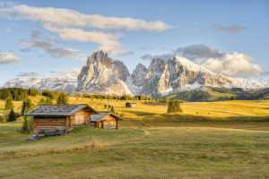 Wunschbild als Tapete - Abendsonne Auf Der Seiser Alm Im Herbst ode...