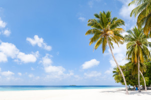 Tapete - Kokospalme Am Strand oder mit Eigenem Foto