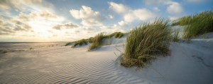 Foto Tapete - Dünenlandschaft Im Sonnenlicht oder mit Eigenem Foto
