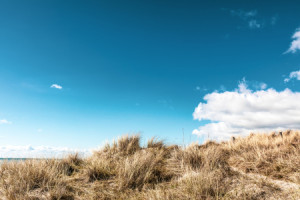 Motiv Tapete - Ostsee Stranddünen oder mit Eigenem Foto