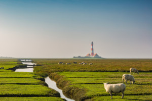 Motiv Tapete - Frühdunst Am Westerhever Leuchtturm oder mit Eigenem...
