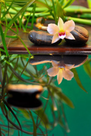 Wunschbild als Tasse - Orchidee Spiegelung oder mit Eigenem Foto