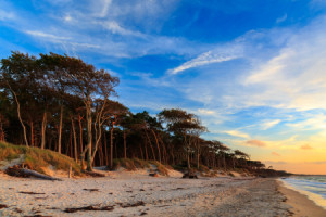 Bild auf Tasse - Traumhafter Weststrand oder mit Eigenem Foto