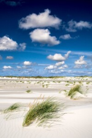 Wunschbild Tasse - Nordseestrand Amrum oder mit Eigenem Foto
