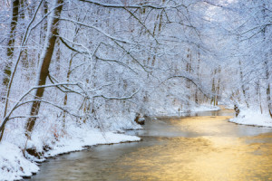 Motiv als Fototasse - Goldfluss Im Winterwald oder mit Eigenem Foto