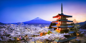 Bilder Tasse - Chureito Pagode Und Berg Fuji Zur Kirschblüte oder m...