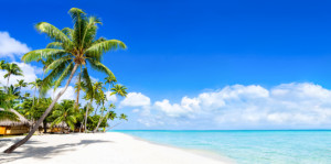 Fotos Tasse - Palmenstrand Und Meer Panorama oder mit Eigenem Foto