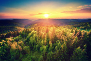 Tasse - Malerischer Sonnenuntergang Über Dem Wald oder mit Eigenem ...