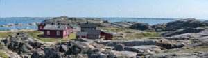 Tasse - Schweden oder mit Eigenem Foto